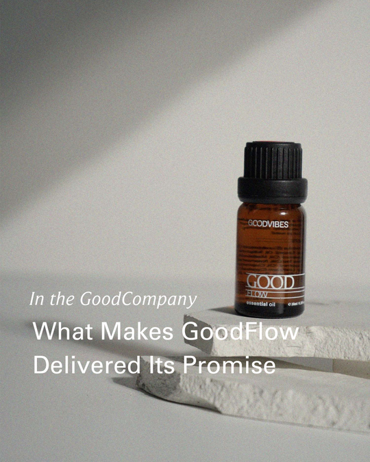 What Makes GoodFlow Delivered Its Promise